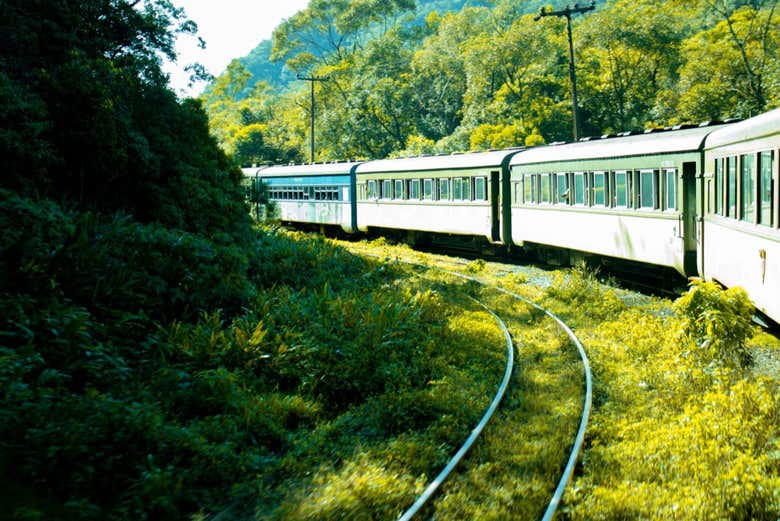 Excursión a Morretes y Antonina en tren
