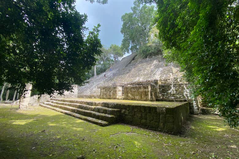 Excursión a Calakmul