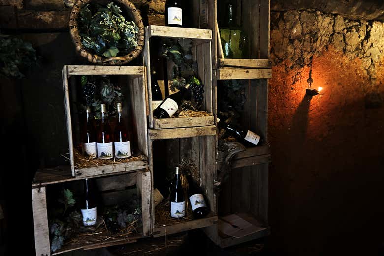 Visita a la Bodega Medieval