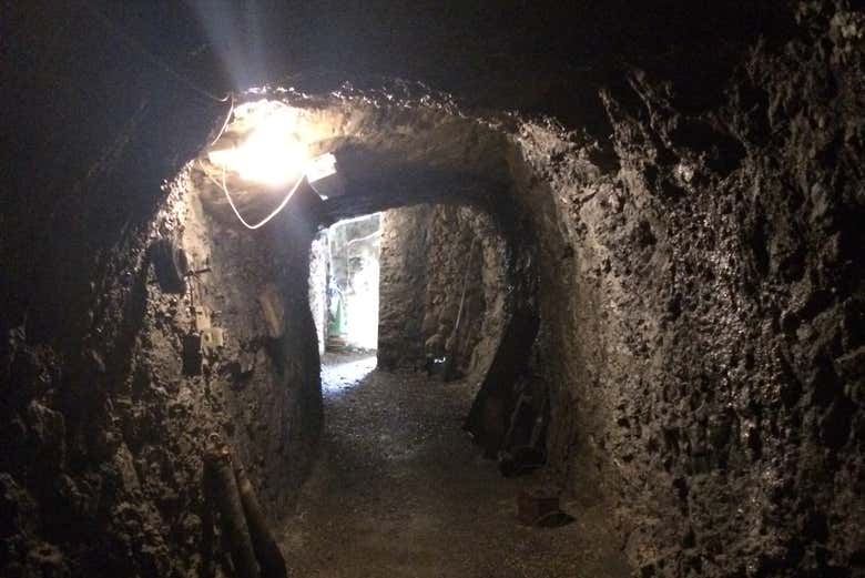 Tour privado por Borgo a Mozzano