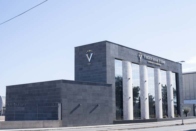 Visita a la bodega Virgen de las Viñas + Museo de Arte Contemporáneo Infanta Elena