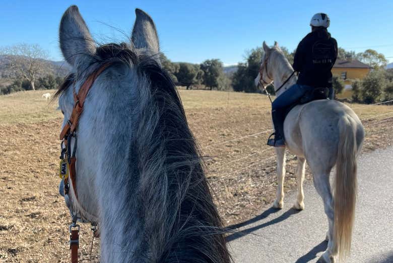 Paseo a caballo por la Garrocha