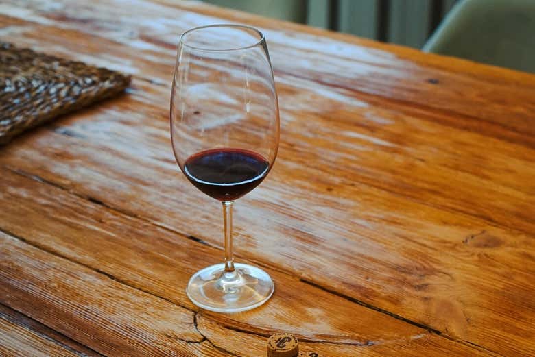 Visita a la bodega Huerto de la Condesa