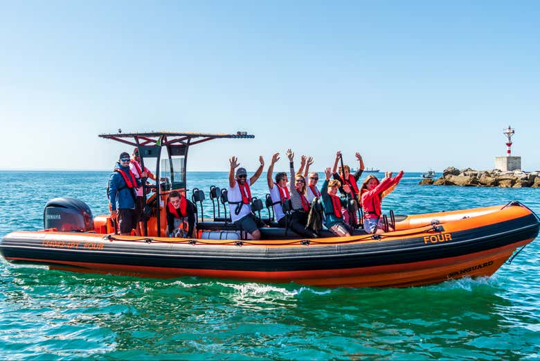 Avistamiento de delfines en Cascais