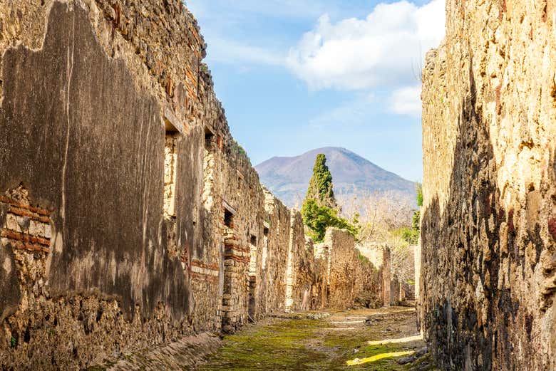Excursión a Pompeya y Herculano