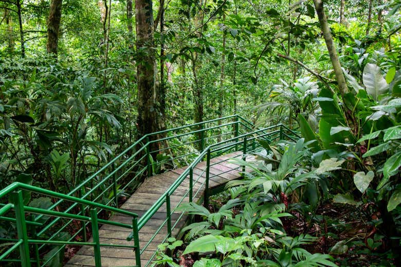 Senderismo por el Cerro Tortuguero
