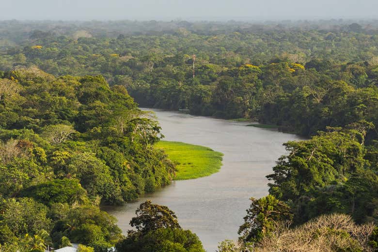 Senderismo por el Cerro Tortuguero