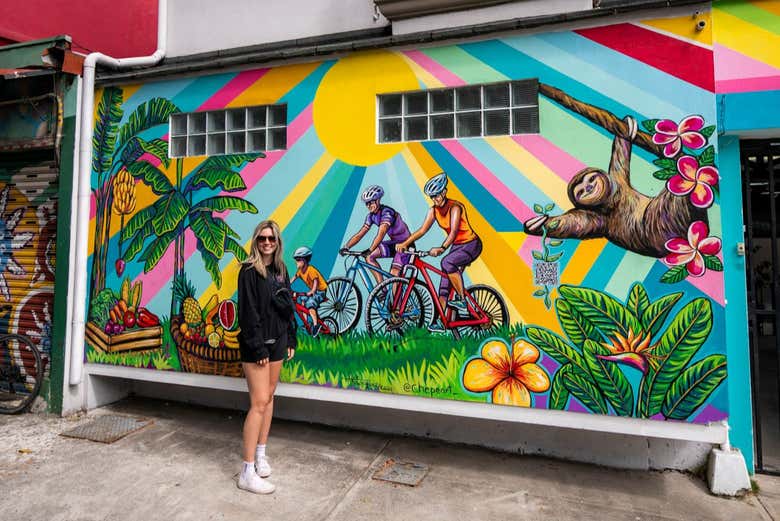 Tour en bicicleta por San José