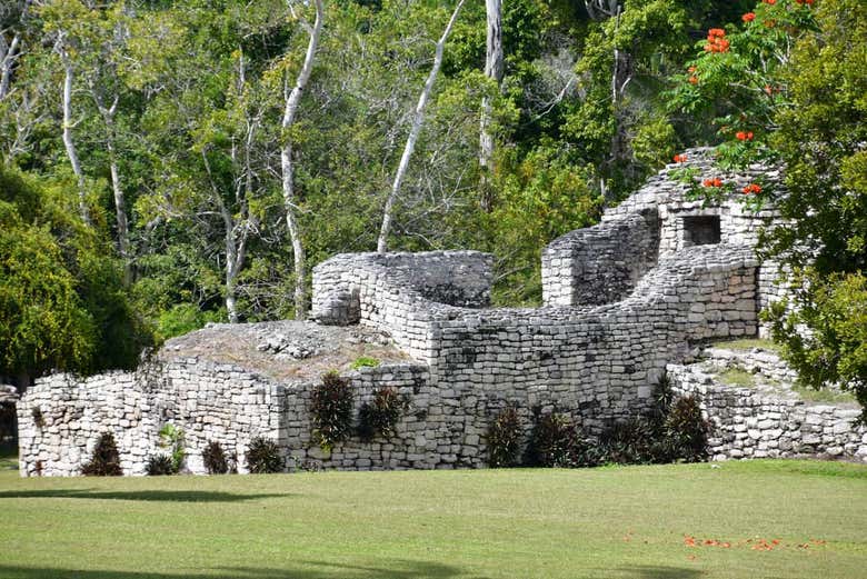 Excursión a Kohunlich y Dzibanché - Galería 1