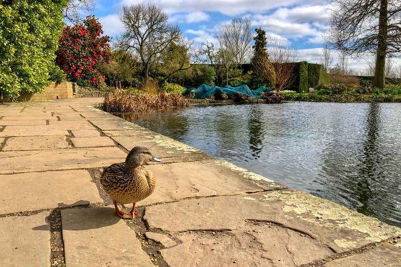Entrada al RHS Garden Hyde Hall