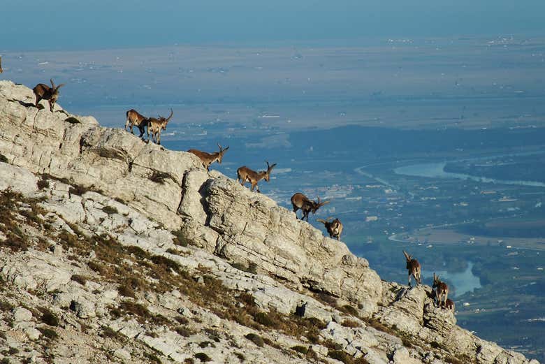 Senderismo por el monte Caro