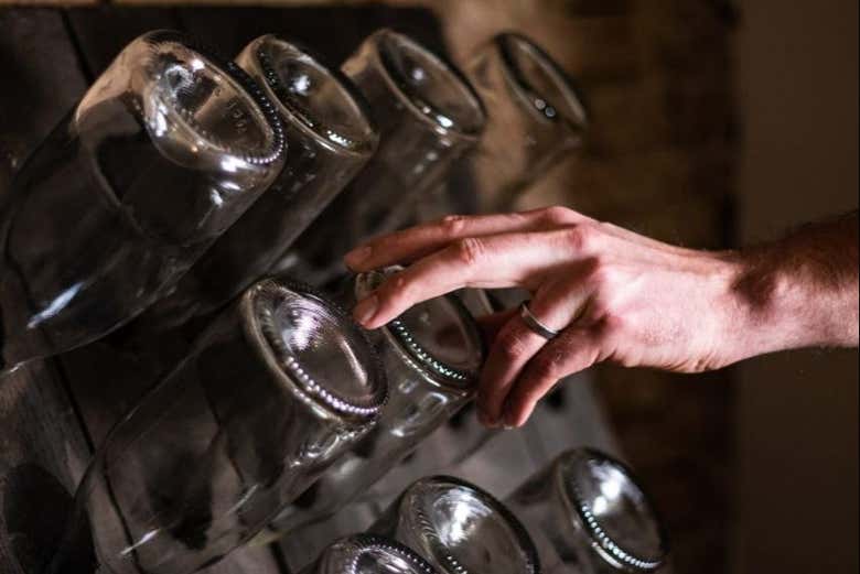 Cata de vinos en Siena
