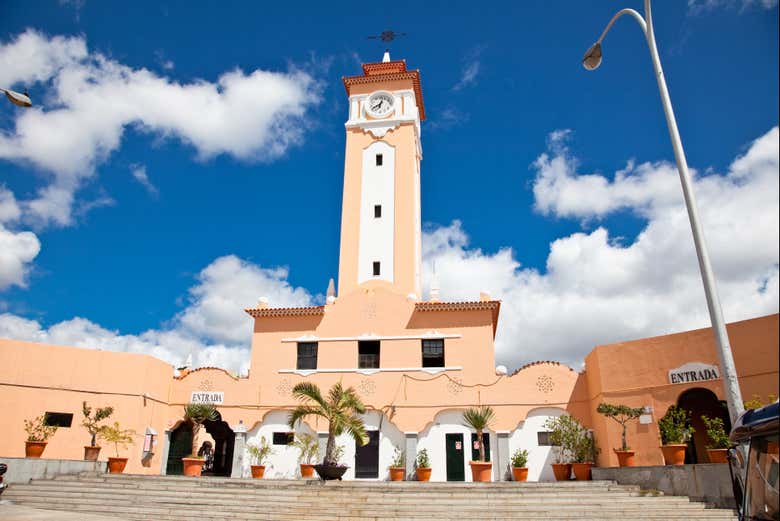 Tour por Santa Cruz de Tenerife para cruceros