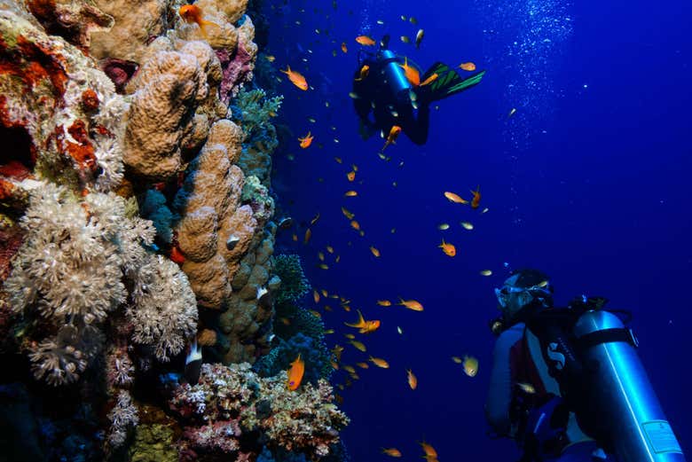 Buceo en Jasab