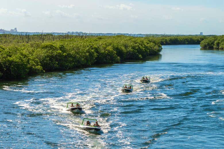 Avistamiento de cocodrilos en la Laguna Nichupté