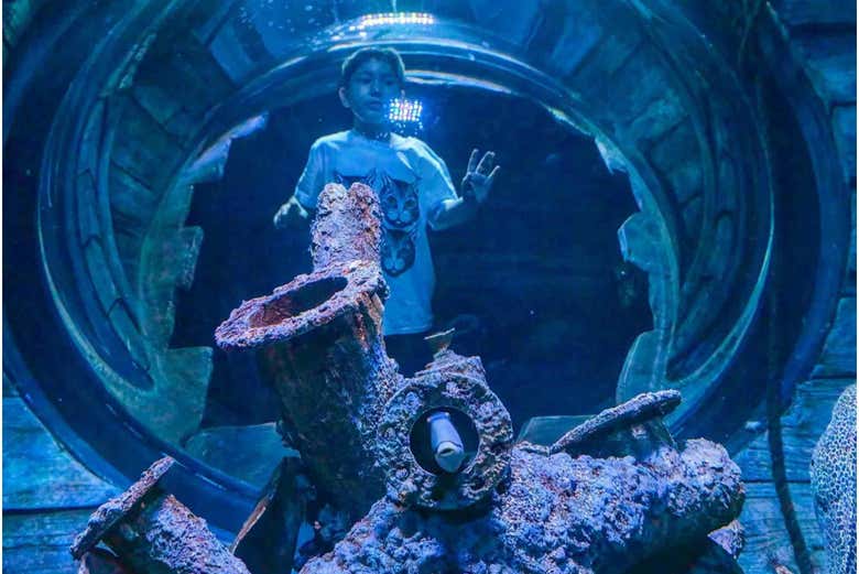 Entrada al Acuario de Omán