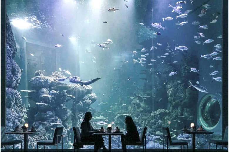 Entrada al Acuario de Omán