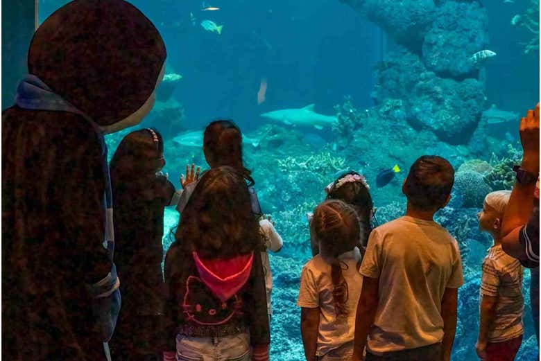 Entrada al Acuario de Omán