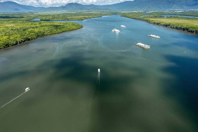 Paseo en barco por Trinity Inlet