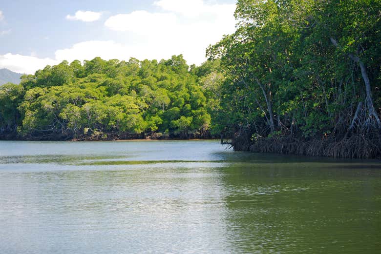 Paseo en barco por Trinity Inlet