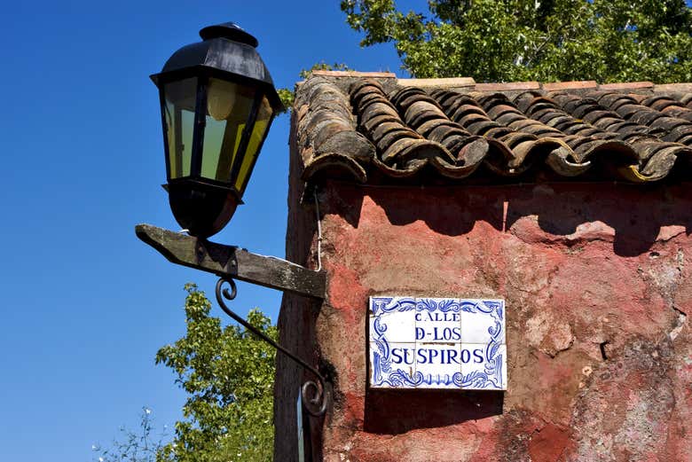 Excursión a Colonia del Sacramento + Alquiler de bicicleta