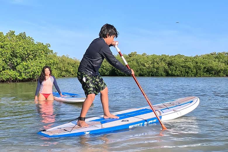 Paddle surf en los manglares de Progreso + Club de playa