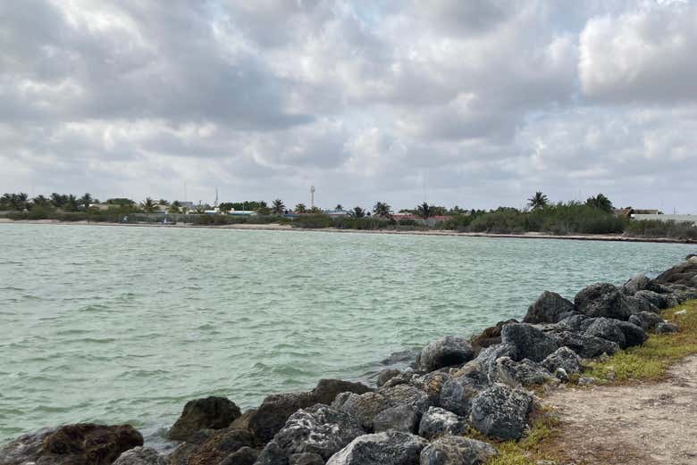Paddle surf en los manglares de Progreso + Club de playa