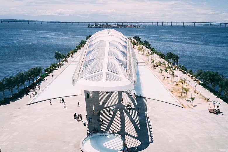 Tour por AquaRio, Boulevard Olímpico y el Museo del Mañana