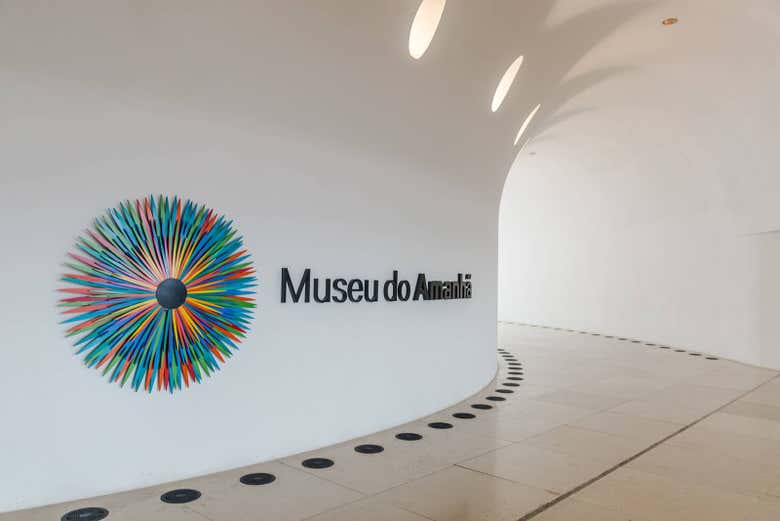 Tour por AquaRio, Boulevard Olímpico y el Museo del Mañana