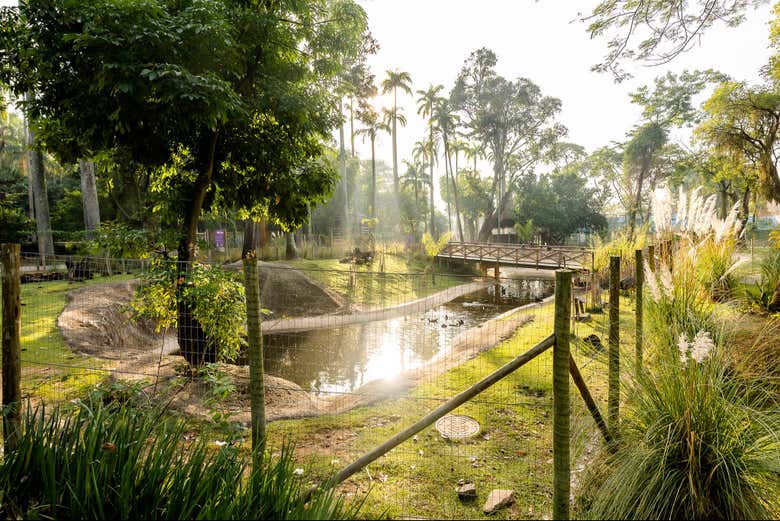 Tour por el BioParque + Noria Rio Star