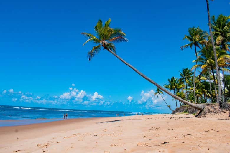 Excursión a la playa Taipu de Fora y las islas Pedra Furada y Goió