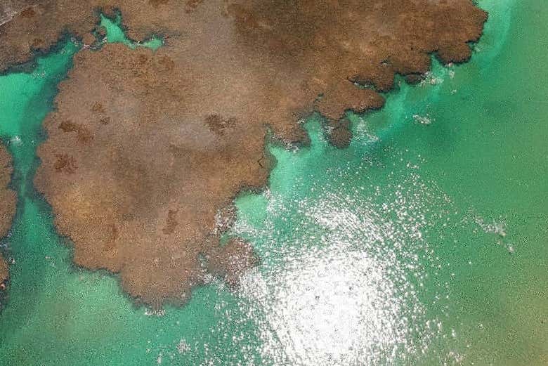 Excursión a la playa Taipu de Fora y las islas Pedra Furada y Goió
