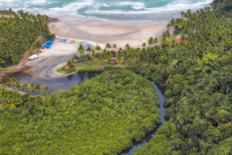 Senderismo por las playas Jeribucaçu y Arruda + Cascada de Usina