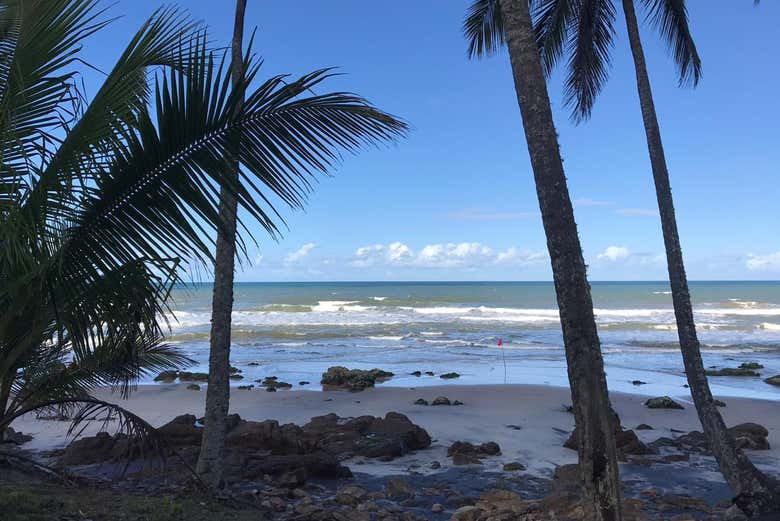 Senderismo por las playas Jeribucaçu y Arruda + Cascada de Usina