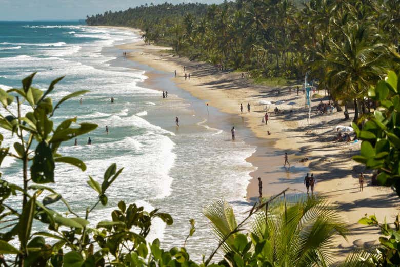 Playas Itacarezinho, Camboinha, Havaizinho y Engenhoca + Cascada de Tijuípe