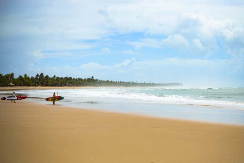 Playas Itacarezinho, Camboinha, Havaizinho y Engenhoca + Cascada de Tijuípe