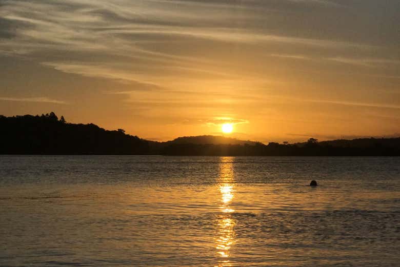 Paseo en barco por el río de Contas