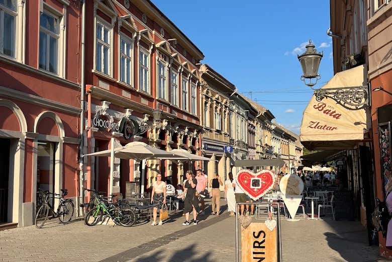 Tour por Novi Sad y la Fortaleza de Petrovaradin
