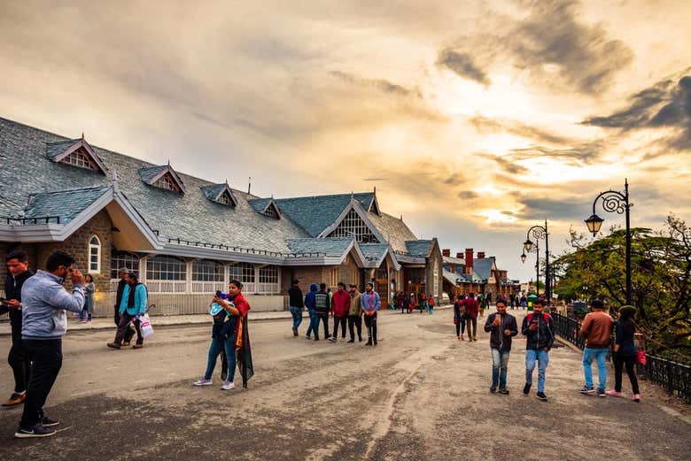 Tour privado por Shimla