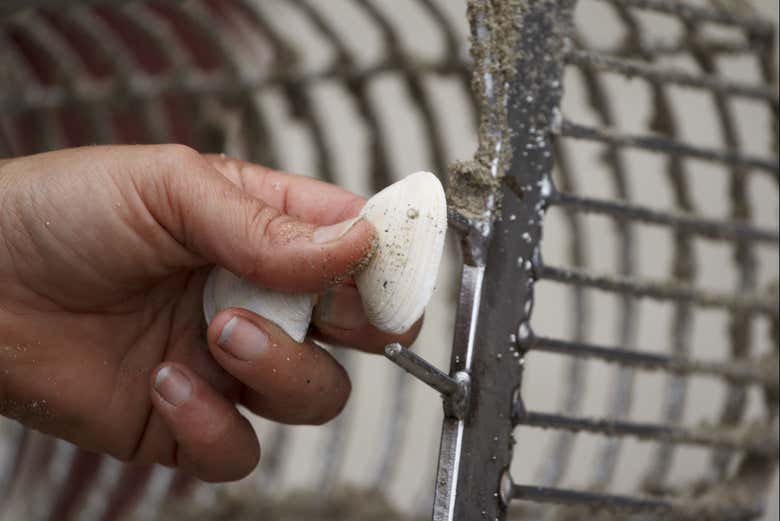 Tour de las mariscadoras de Camariñas