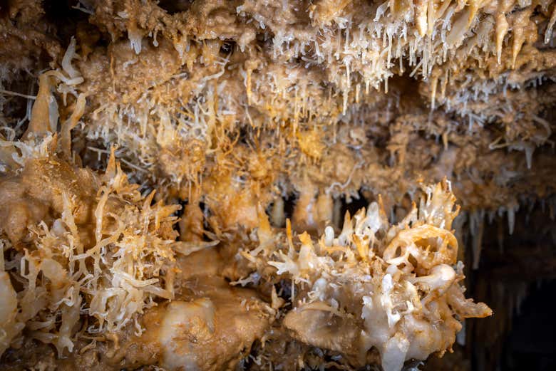 Visita guiada por la Grotte du Grand Roc