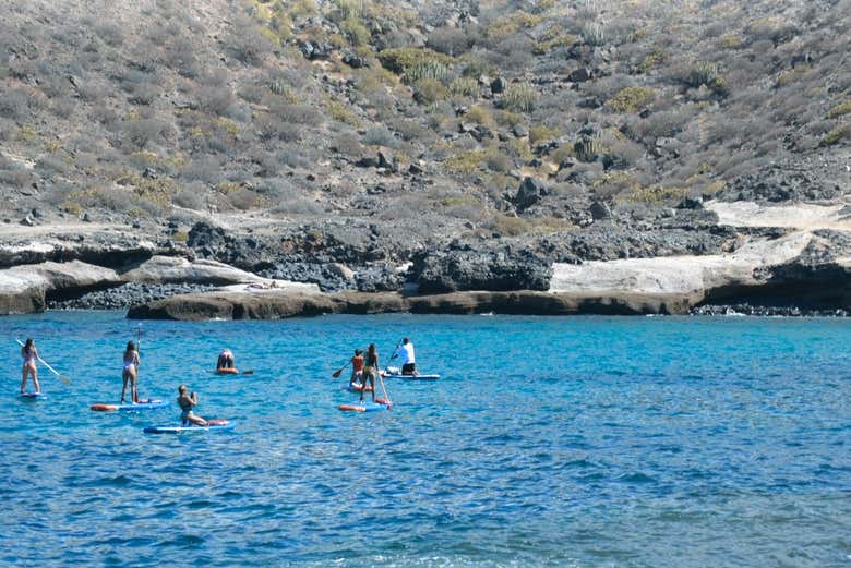 Paddle surf y snorkel en La Caleta