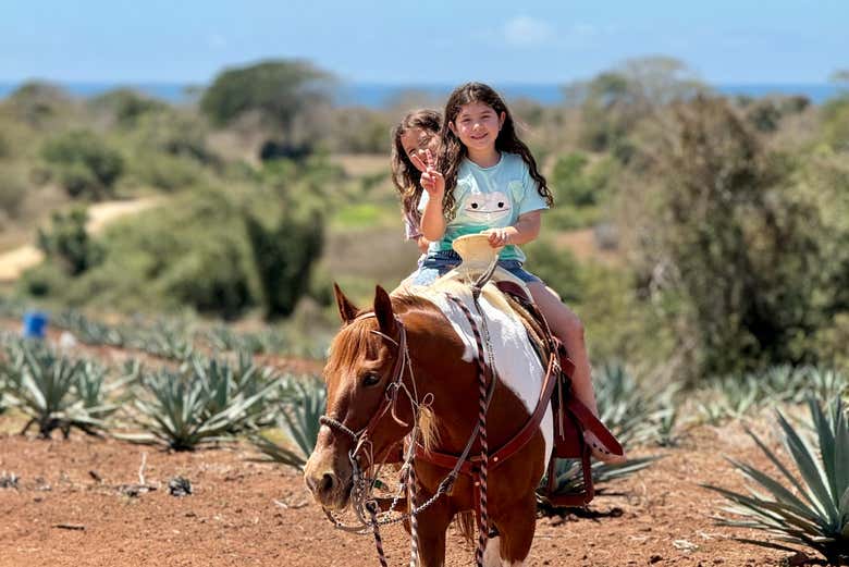 Paseo a caballo por la playa y selva de Mazatlán