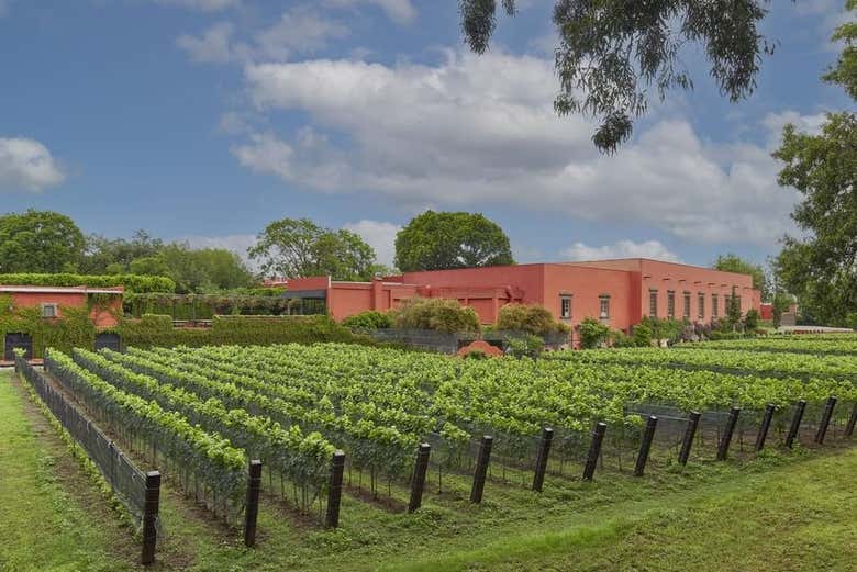 Tour por las haciendas de Querétaro