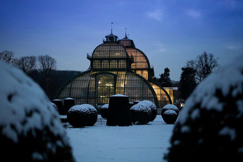 Tren navideño del Palacio de Schönbrunn