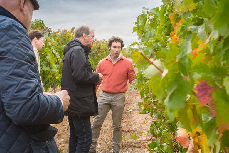 Visita a la bodega Martín Berdugo