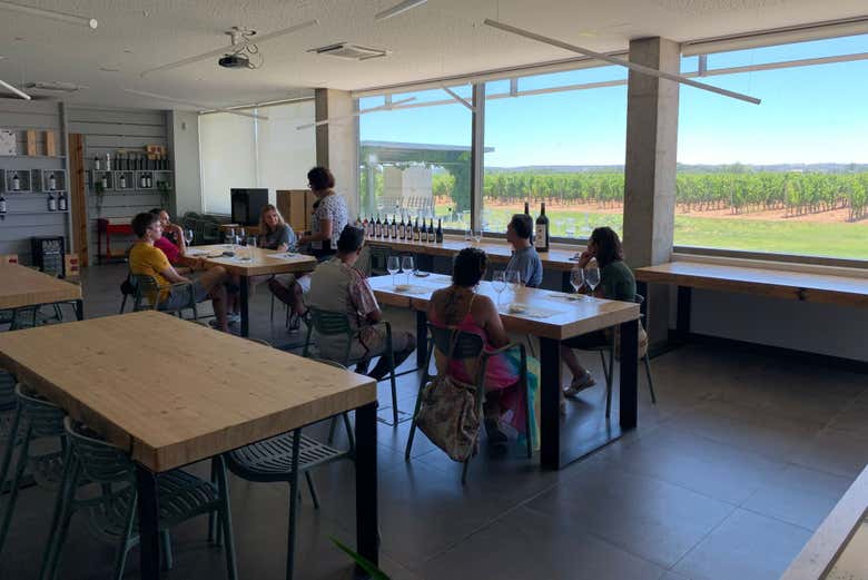 Visita a la bodega Martín Berdugo