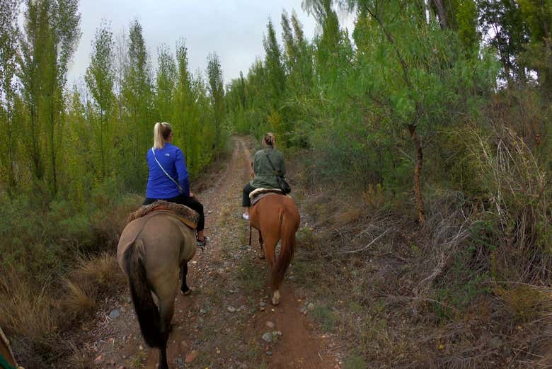 Paseo a caballo por los viñedos de Mendoza