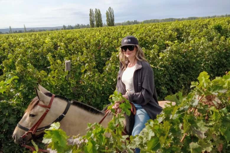 Paseo a caballo por los viñedos de Mendoza - Galería 1