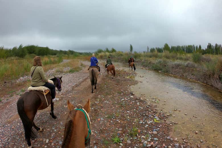 Paseo a caballo por los viñedos de Mendoza - Galería 2